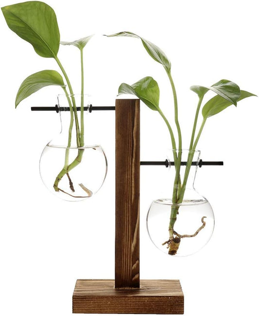 Hydroponic Glass Vase with Wooden Stand for Water Propagation - Desktop Terrarium and Air Planter for Home Decor